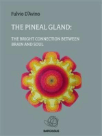 The pineal gland