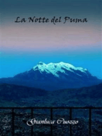 La Notte del Puma