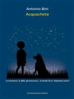 Acquacheta