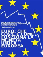 EURO: che cos'è e come funziona la moneta unica europea: Perché è nato l'euro e come funziona: un approccio semplice alla moneta unica europea