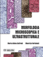 Morfologia Microscopica e Ultrastrutturale: Istologia e Anatomia Microscopica