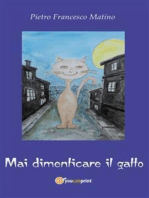 Mai dimenticare il gatto