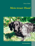 Mein treuer Hund