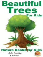 Beautiful Trees For Kids!