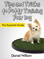 Tips and Tricks to Potty Training Your Dog