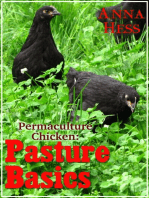 Pasture Basics: Permaculture Chicken, #2