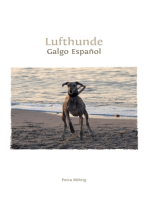 Lufthunde: Galgo Español