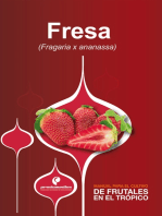 Manual para el cultivo de frutales en el trópico. Fresa