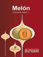 Manual para el cultivo de frutales en el trópico. Melón