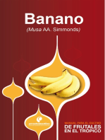 Manual para el cultivo de frutales en el trópico. Banano