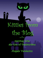 Kitties from the Blog (starring Evie)