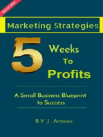 Marketing Strategies Five Weeks To Profits
