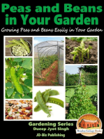 Peas and Beans in Your Garden: Growing Peas and Beans Easily in Your Garden