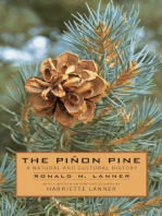 The Pinon Pine: A Natural And Cultural History