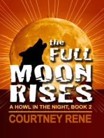 The Full Moon Rises