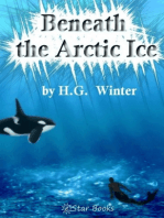 Beneath the Artic Ice