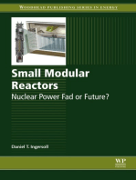 Small Modular Reactors: Nuclear Power Fad or Future?