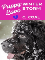 Puppy Love Winter Storm