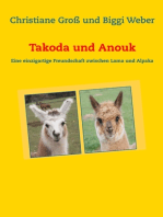Takoda und Anouk: Eine einzigartige Freundschaft zwischen Lama und Alpaka