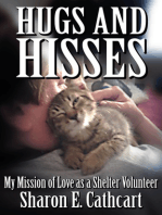 Hugs and Hisses: My Mission of Love as a Shelter Volunteer