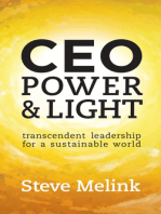 CEO Power & Light: Transcendent Leadership for a Sustainable World