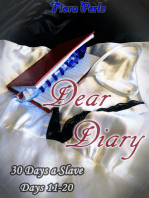 Dear Diary - Thirty Days A Slave (Days 11-20)