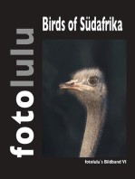Birds of Südafrika: fotolulus Bildband VI
