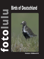 Birds of Deutschland: fotolulus Bildband IX