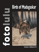 Birds of Madagaskar: fotolulus Bildband VII