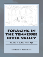 Foraging in the Tennessee River Valley: 12,500 to 8,000 Years Ago
