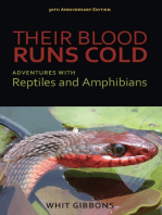 Their Blood Runs Cold