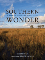 Southern Wonder