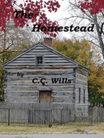 The Homestead ( A Sequel to "A New Beginning" )
