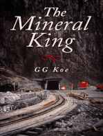 The Mineral King