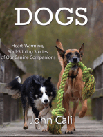 Dogs: Heart-Warming, Soul-Stirring Stories of our Canine Companions