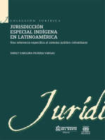 Jurisdicción especial indígena en Latinoamérica: Una referencia específica al sistema jurídico colombiano