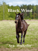 Black Wind