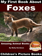 My First Book about Foxes