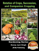 Rotation of Crops, Succession, and Companion Cropping