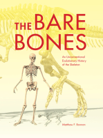 The Bare Bones