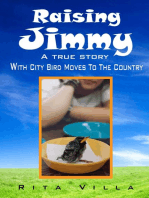 Raising Jimmy