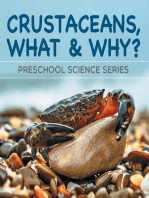 Crustaceans, What & Why? : Preschool Science Series: Marine Life and Oceanography for Kids Pre-K Books