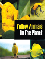 Yellow Animals On The Planet: Animal Encyclopedia for Kids