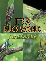 Its A Bugs World: Scary and Spooky Bugs: Insects for Kids - Entomology
