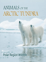 Animals of the Arctic Tundra: Polar Region Wildlife: Animal Encyclopedia for Kids