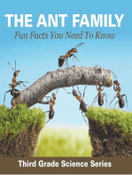 The Ant Family - Fun Facts You Need To Know : Third Grade Science Series: Ants for Kids - Habitats