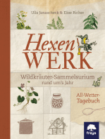 Hexenwerk: Wildkräuter-Sammelsurium rund um's Jahr