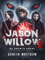 Jason Willow 2