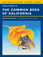Field Guide to the Common Bees of California: Including Bees of the Western United States