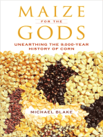 Maize for the Gods